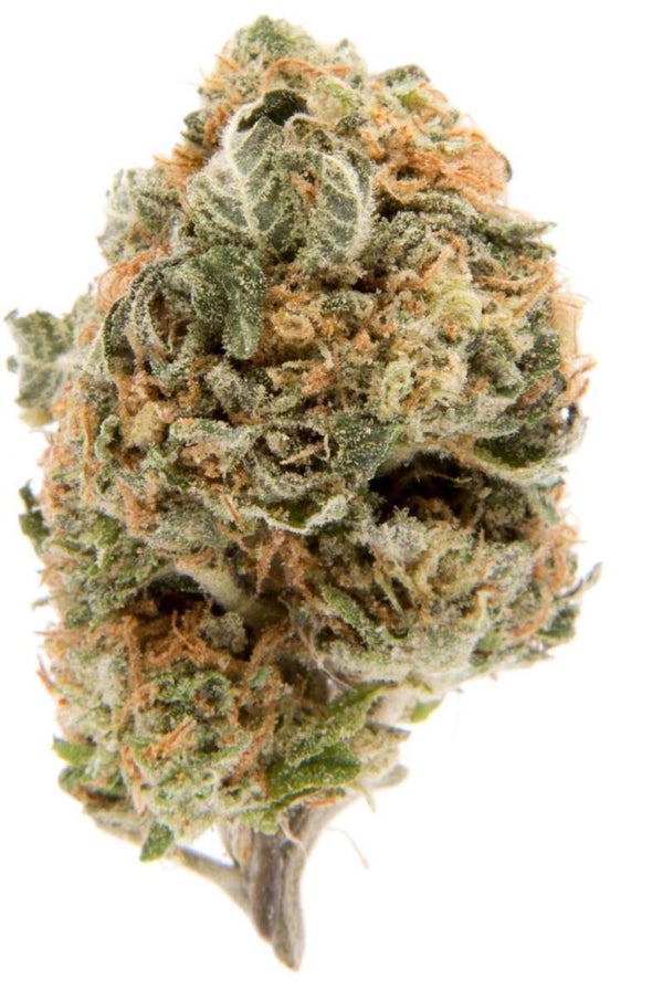 BLUEBERRY AK47 🇬🇧