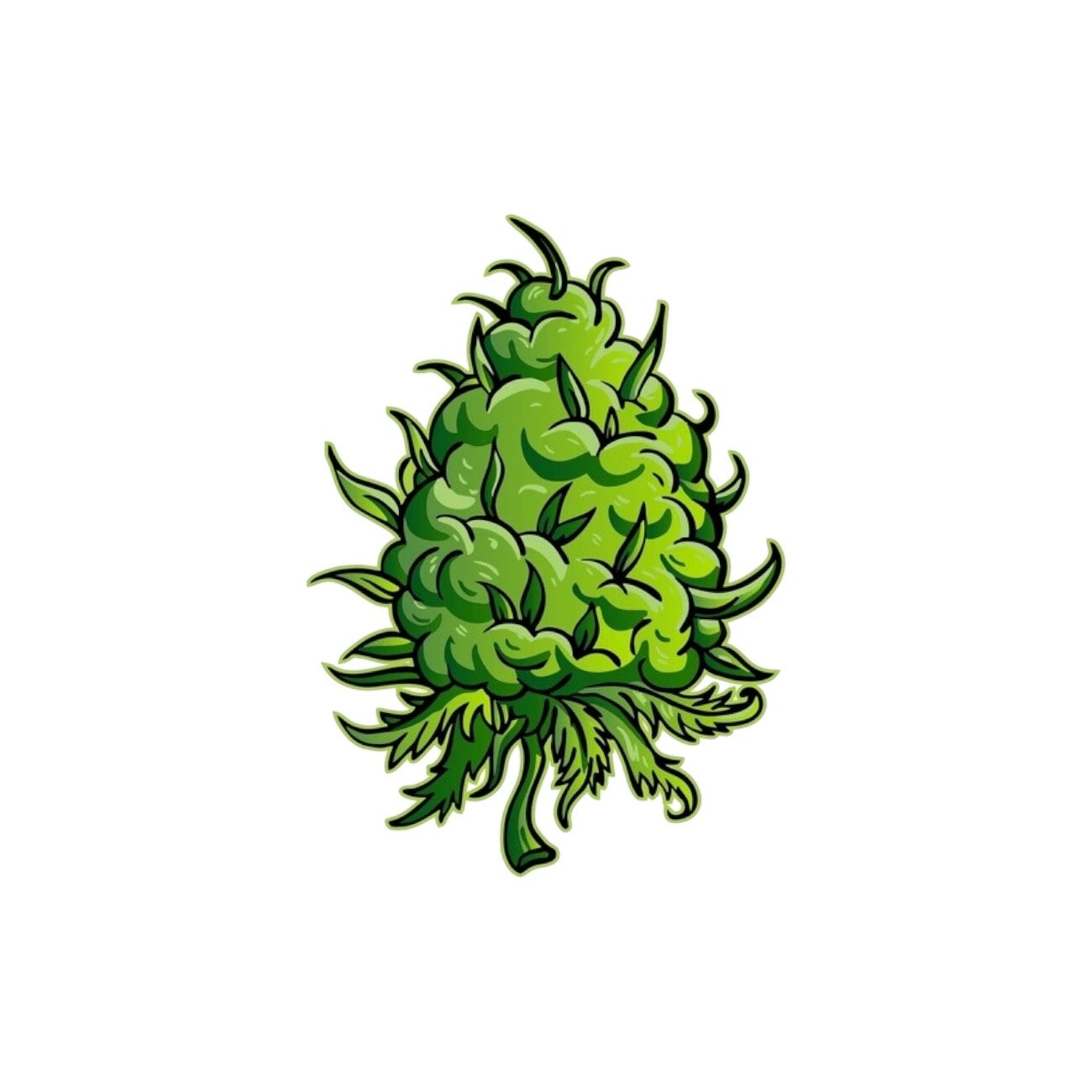 FIJI POPPERS 🇺🇸