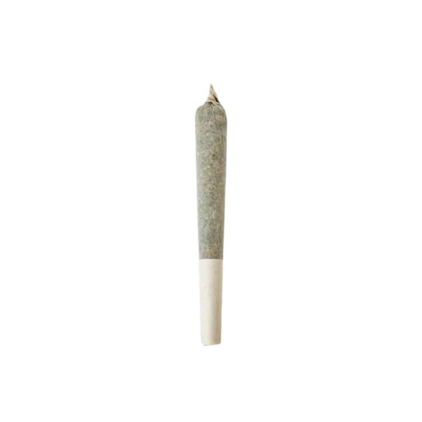 FREE ROLL 🇺🇸