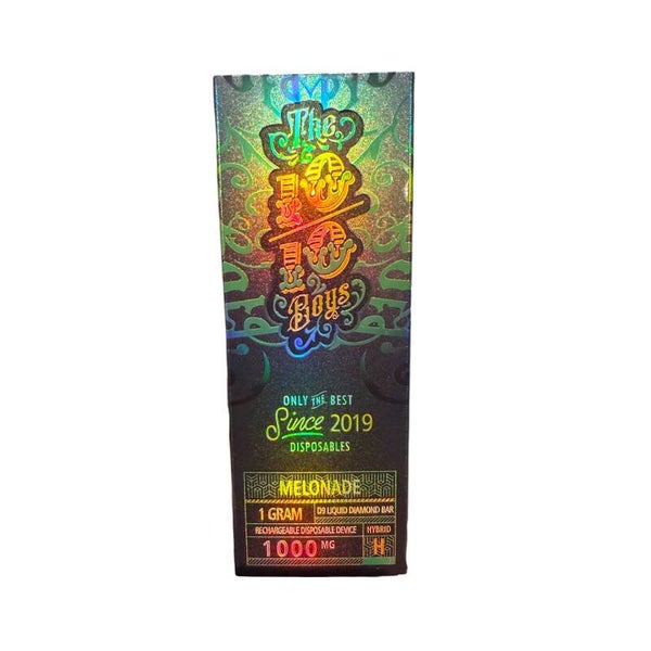 10/10 BOYS 1000MG DISPOSABLE - MELONADE