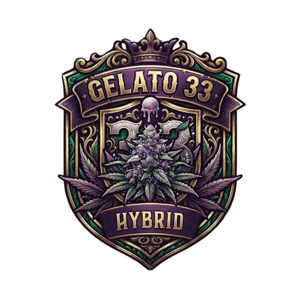 GELATO 33 🇺🇸