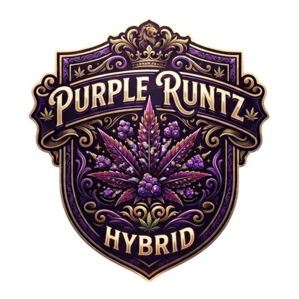 PURPLE RUNTZ 🇺🇸