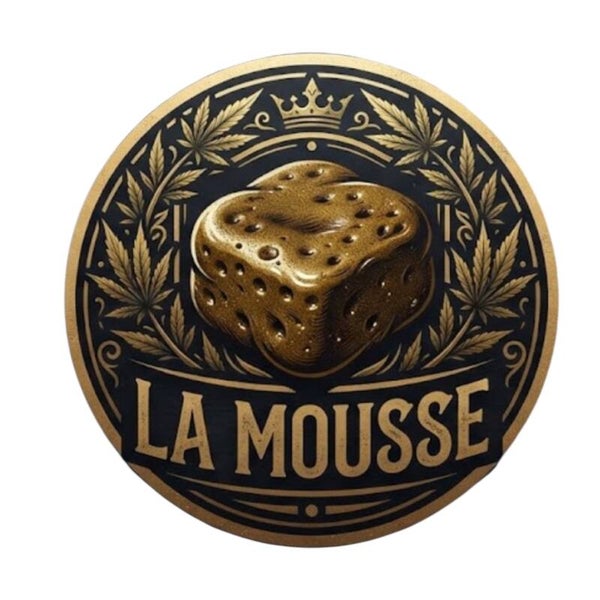 LA MOUSSE