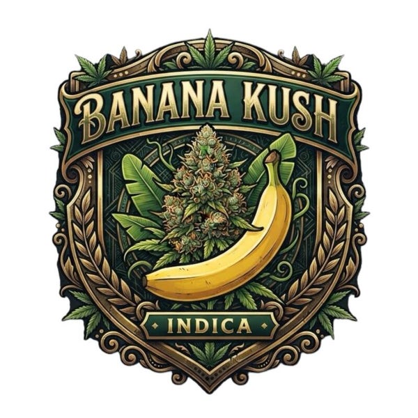 BANANA KUSH 🇺🇸