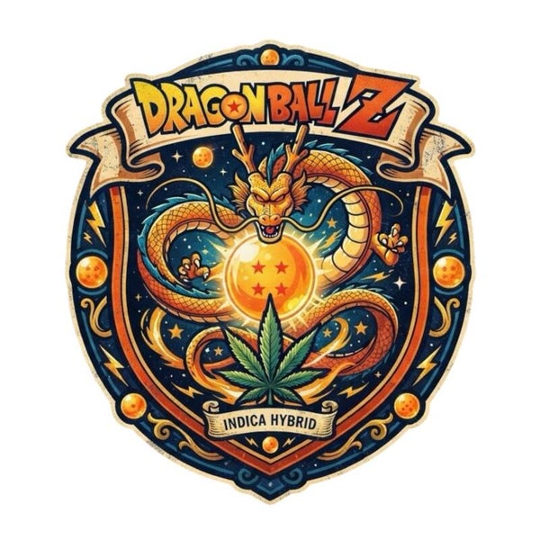 DRAGON BALL Z 🇺🇸