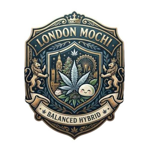 LONDON MOCHI 🇬🇧