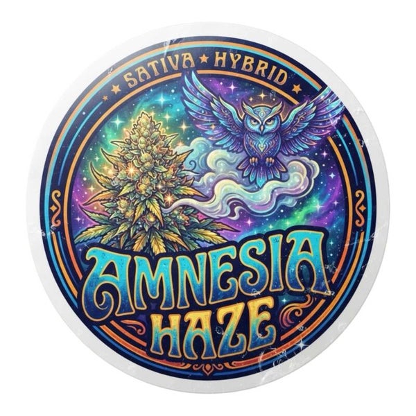 AMNESIA HAZE