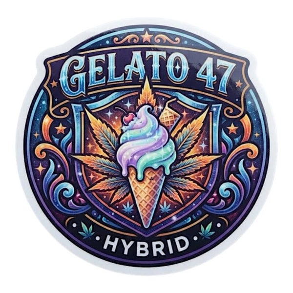 GELATO 47