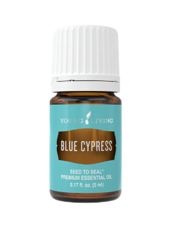 Blue Cypress (blauwe cipres) -5ml