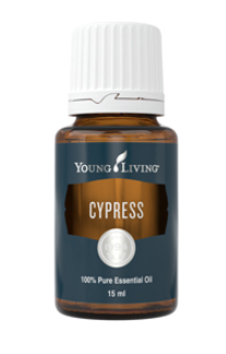 Cypress (Cipres) -15ml