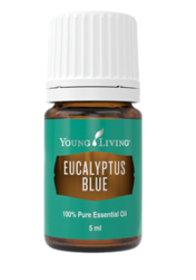 Eucalyptus blue -5ml