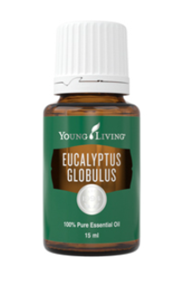 Eucalyptus Globulus (Blauwe gom) -15ml