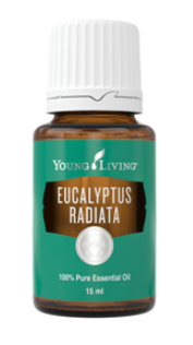 Eucalyptus radiata -15ml