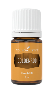 Goldenrod -5ml