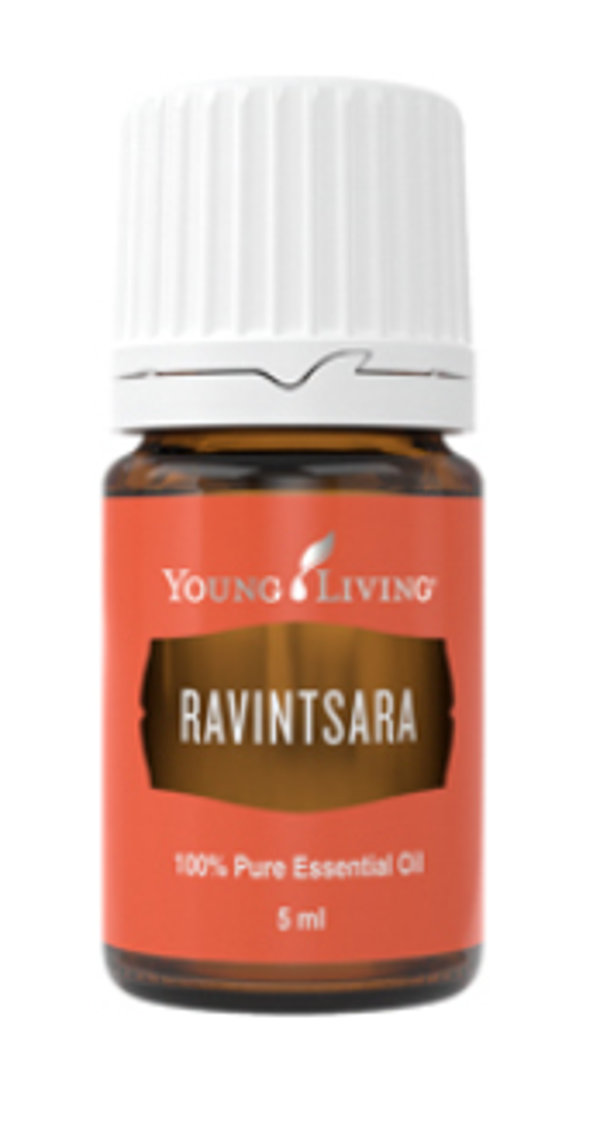 Ravintsara (Kamfer) -5ml