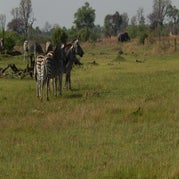 DSCN2677.jpg