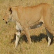 DSCN2714.jpg