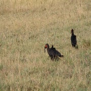 IMG_4434.jpg