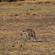 IMG_4183.jpg