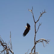 IMG_4230.jpg