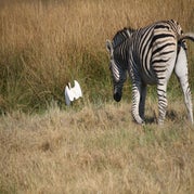 IMG_4802.jpg