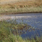 IMG_4496.jpg