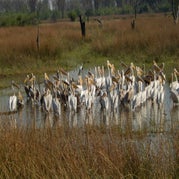 DSCN2674.jpg