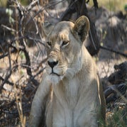 IMG_4842.jpg