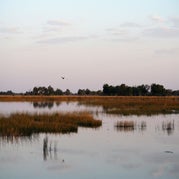 IMG_4712.jpg