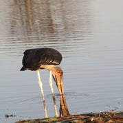 IMG_4347.jpg