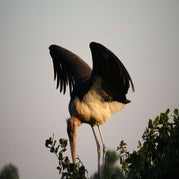 IMG_4668.jpg