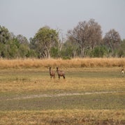 IMG_4180.jpg