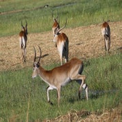 IMG_4190.jpg