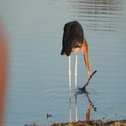 DSCN2563.jpg