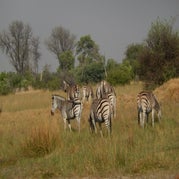 DSCN2671.jpg