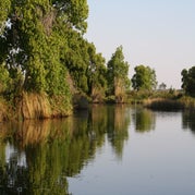 IMG_4534.jpg