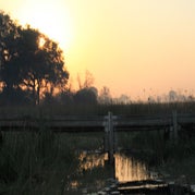 IMG_4736.jpg