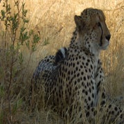 DSCN2609.jpg