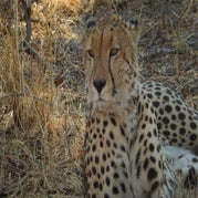 DSCN2647.jpg