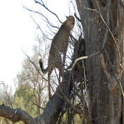 DSCN2632.jpg