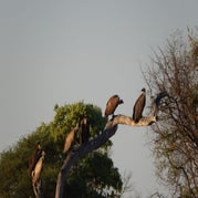 DSCN2560.jpg