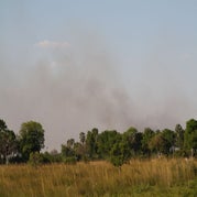 IMG_4512.jpg