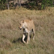IMG_4854.jpg