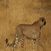 DSCN2637.jpg