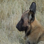 DSCN2603.jpg