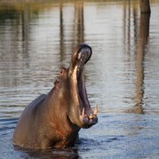 IMG_4338.jpg