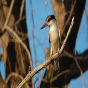 DSCN2554-1.jpg