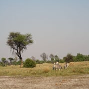 IMG_4809-3.jpg