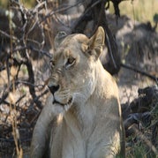 IMG_4838.jpg