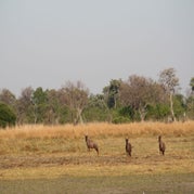 IMG_4181.jpg